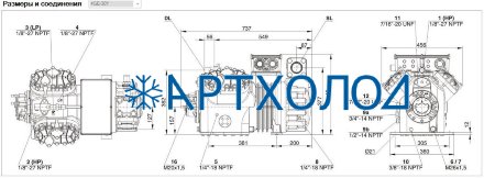 Компрессор 4GE-30Y (LBP/MBP/HBP) Ecoline Bitzer